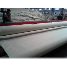 Composite Geomembrane and Best Price HDPE Fish Farm